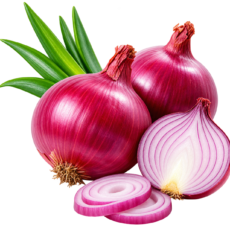 2. Onion icon